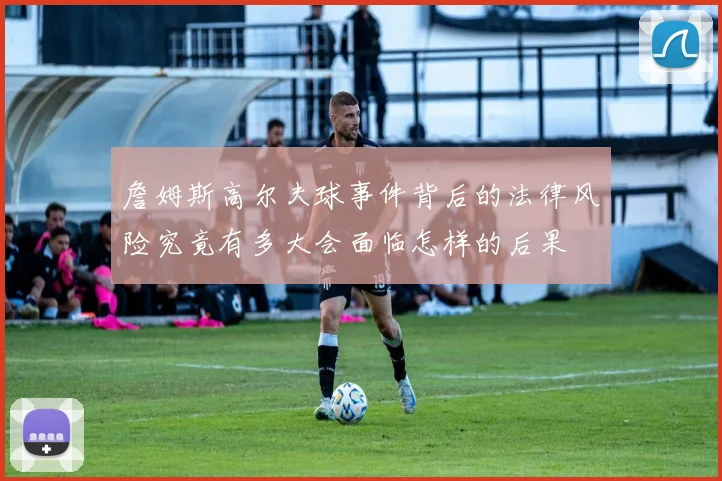 詹姆斯高尔夫球事件背后的法律风险究竟有多大会面临怎样的后果